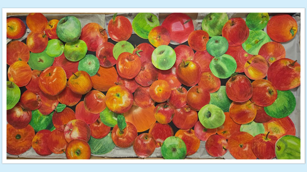 학교 소개 사진