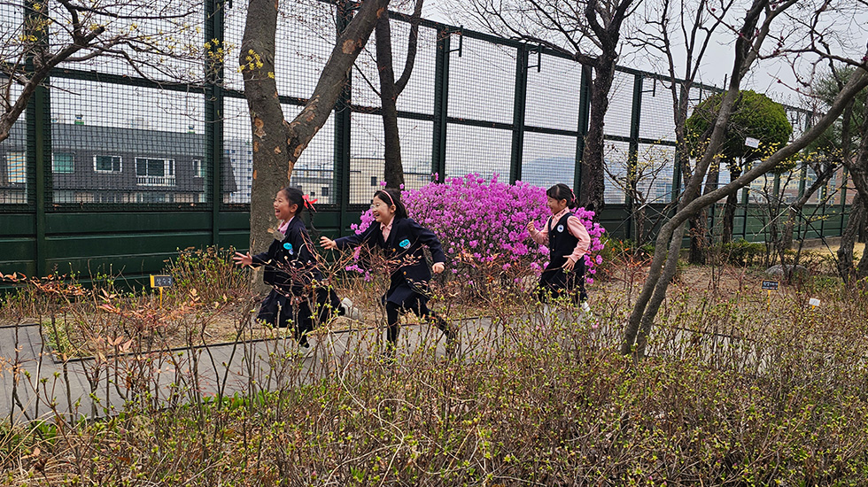 학교 소개 사진