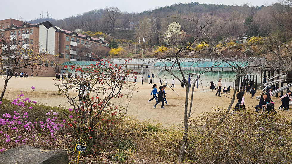학교 소개 사진