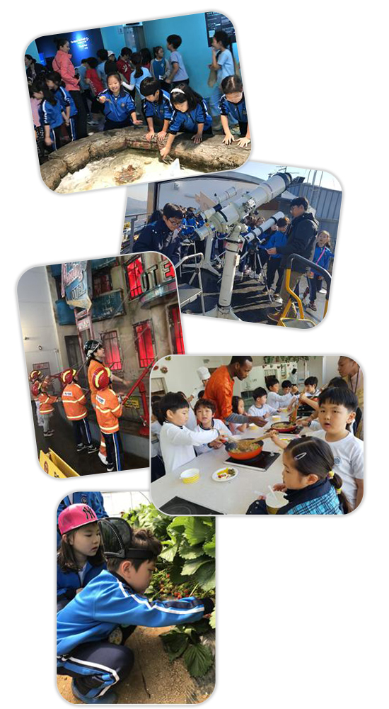 체험 및 봉사활동